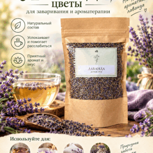 Цветы лаванды